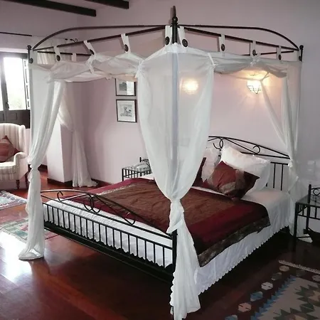 A Dream In Beauty And Tranquility